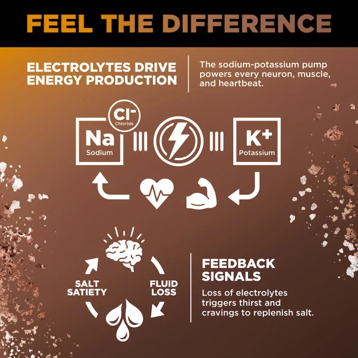 LMNT Zero-Sugar Electrolytes – Chocolate Caramel - Image 6